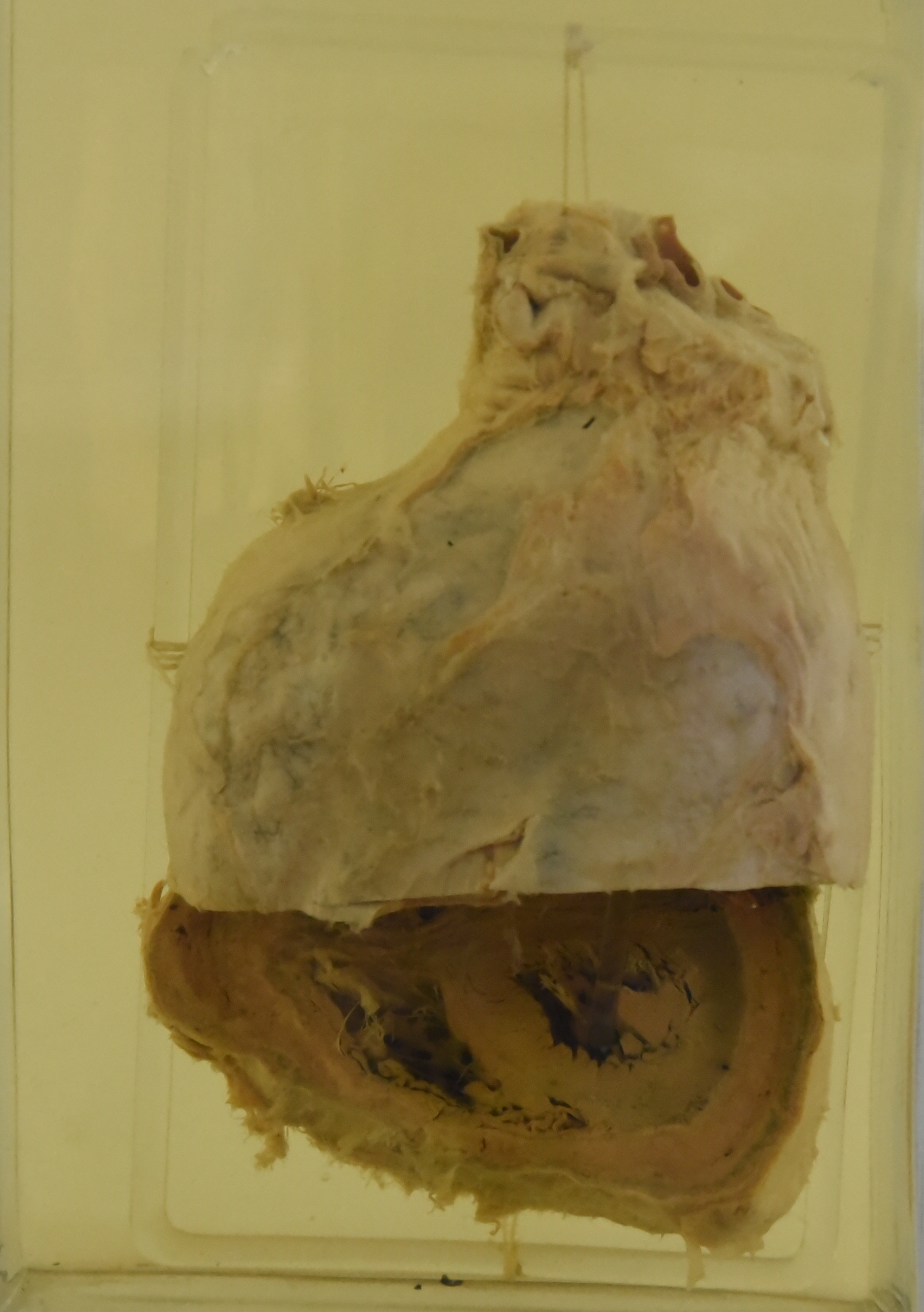 B.58