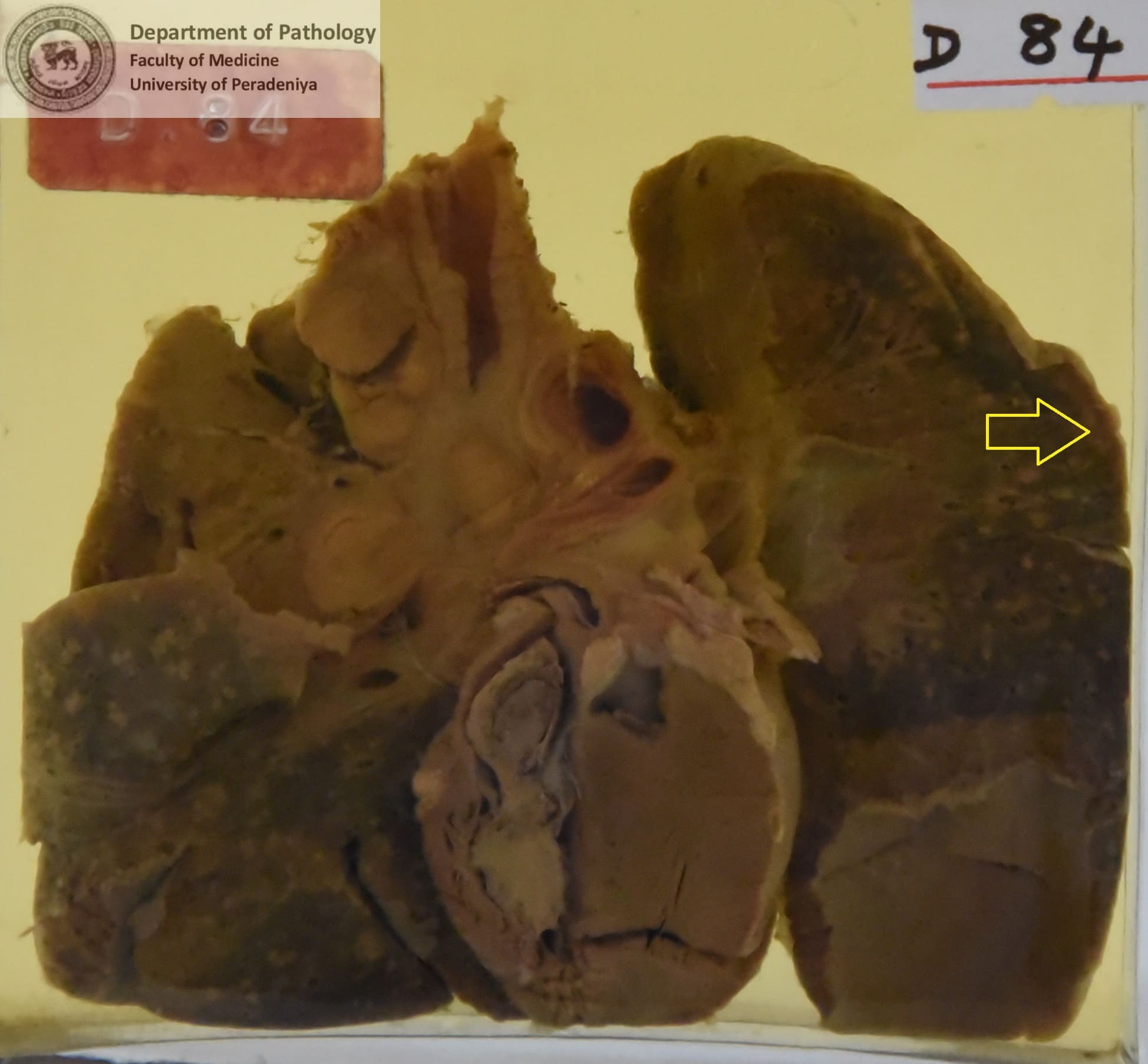D.84