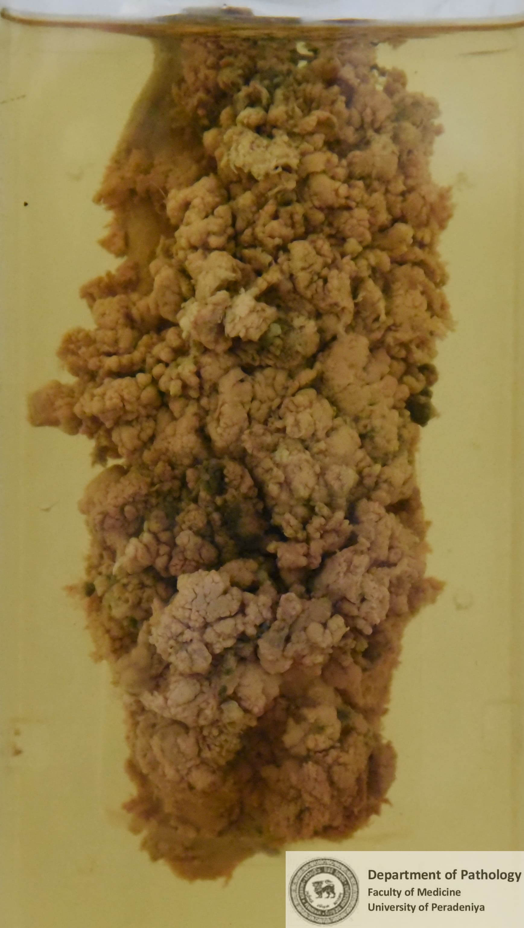 F a X.3