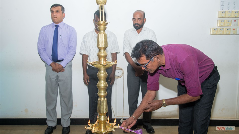 DSC_0248