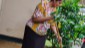 e5a0e47b-1956-4a15-8dd0-a7821c041516